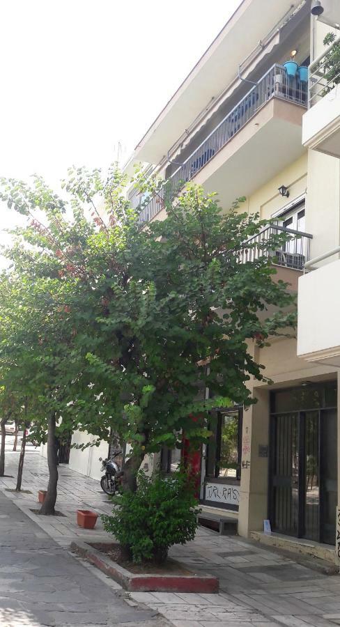 Apartment Thissio View Design *